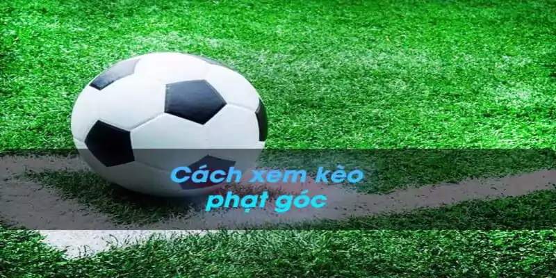 Cách để người chơi hiểu thêm về kèo tài xỉu phạt góc
